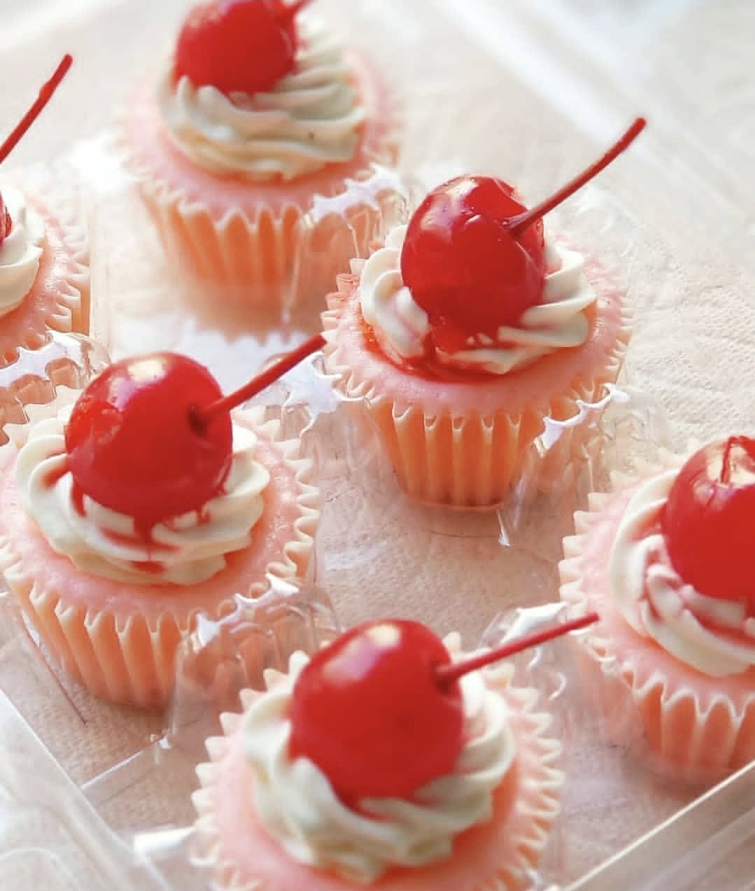 Fruit Punch mini cheesecakes