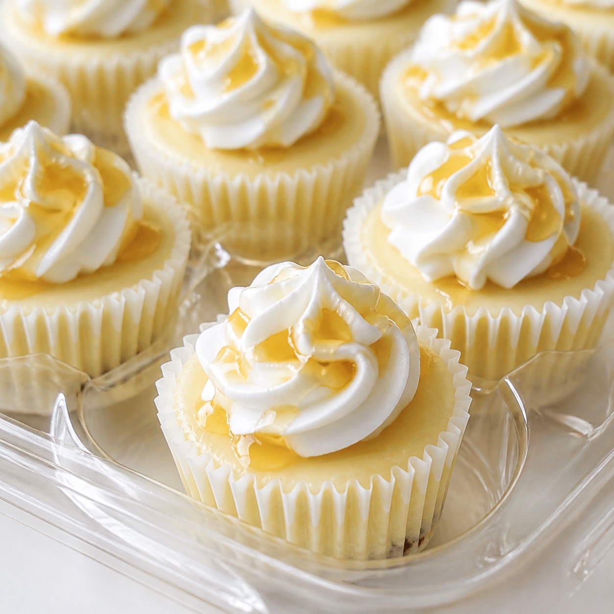 Honey Bear mini cheesecakes