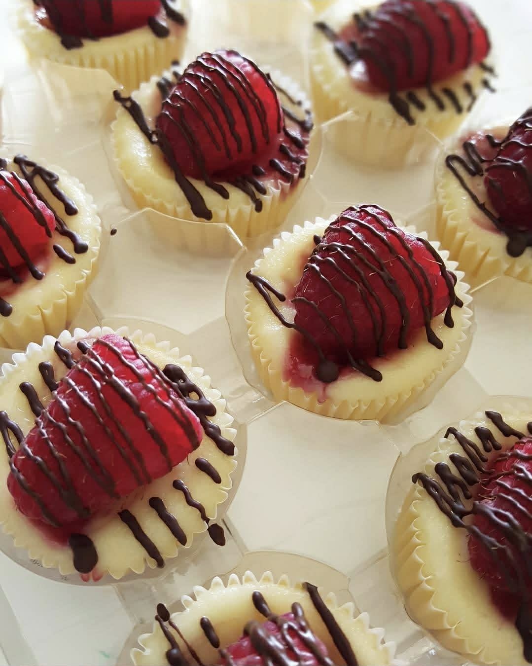Razzy Swirl mini cheesecakes