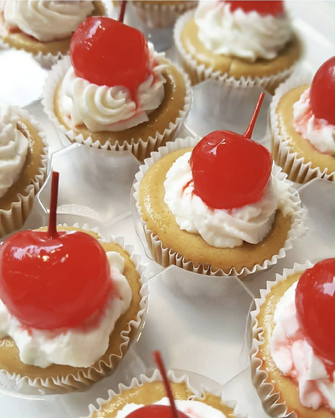 Root Beer mini cheesecakes